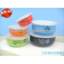 set of 5 pcs enamel storage bowl with plastic cover